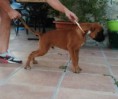 /album/camada-e/img-20150820-201055-jpg/