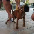 /album/camada-e/img-20150820-212704-jpg/