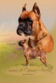 /album/carissa-de-carissa-aurelia1/a13227875-2032426640315744-715774172-n-jpg1/